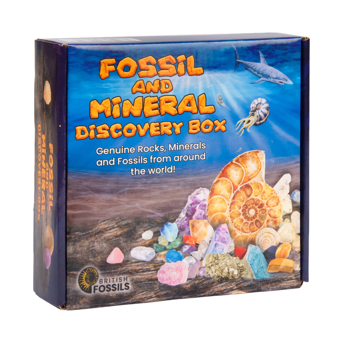 British Fossils Fossil and Mineral Discovery Box, box front