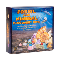 British Fossils Fossil and Mineral Discovery Box, box front