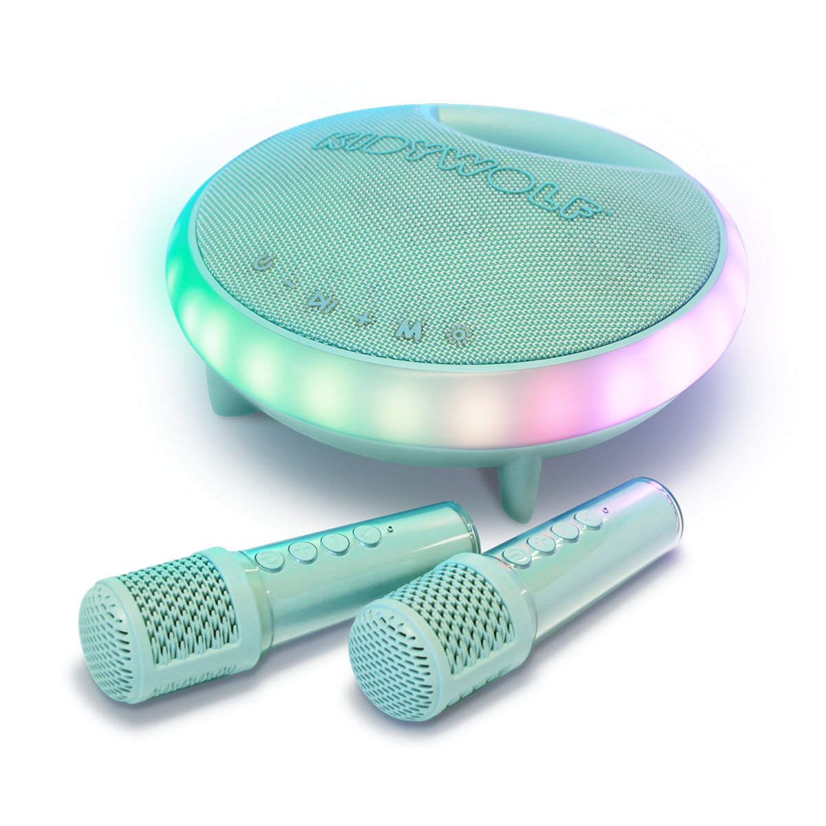 KidyKaraoke Karaoke Speaker with 2 Microphones, what's included
