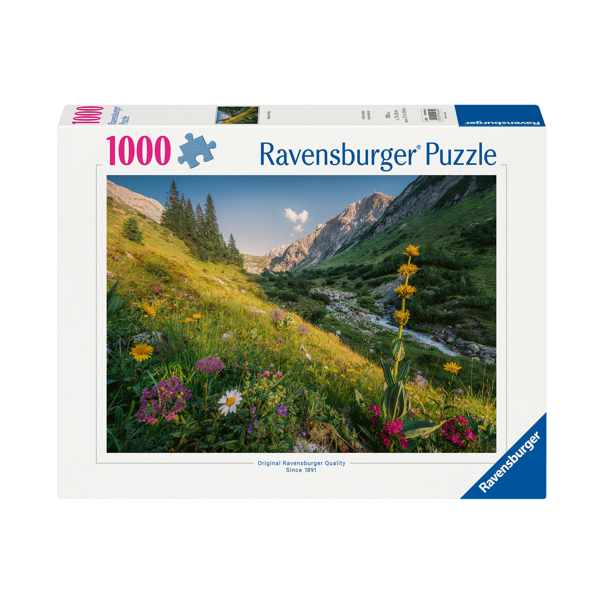 Puzzle: Magical Valley - 1000 Piece, box front