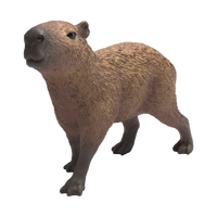 Schleich Capybara, product