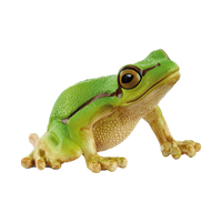 Schleich European Tree Frog, product