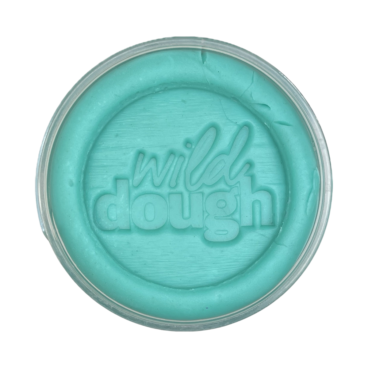 Wild Dough Brights Playdough, Sea Glass Teal packshot