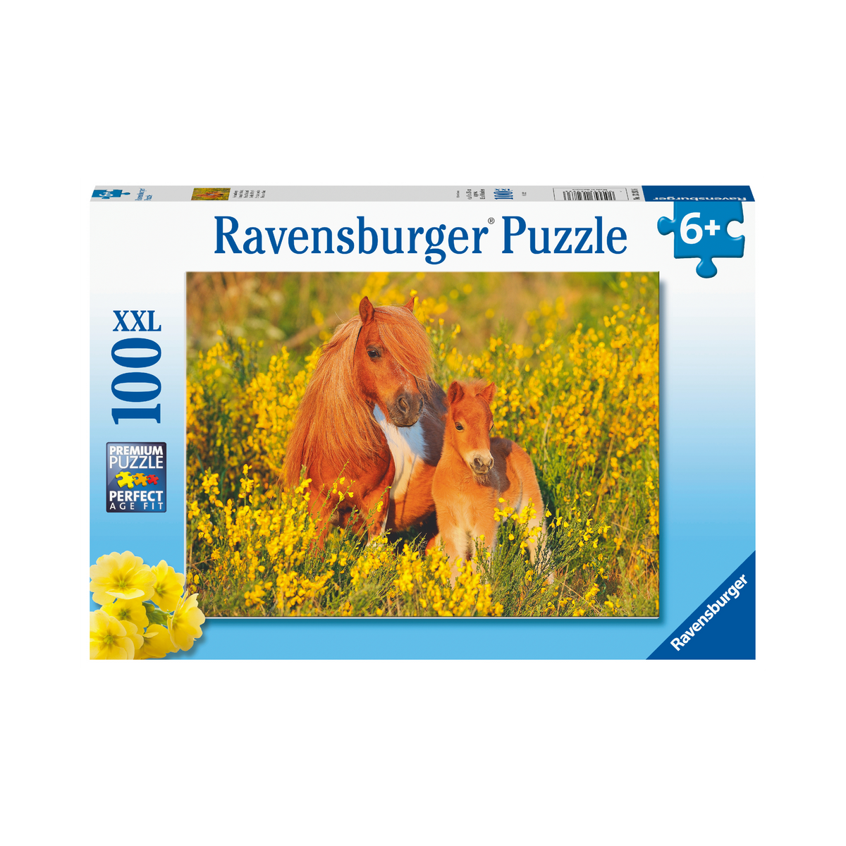 XXL Puzzle: Shetland Ponies - 100 Piece, box front