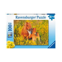 XXL Puzzle: Shetland Ponies - 100 Piece, box front